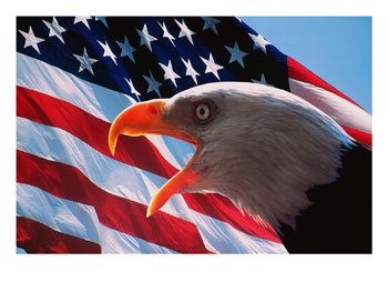 american flag and eagle pictures
